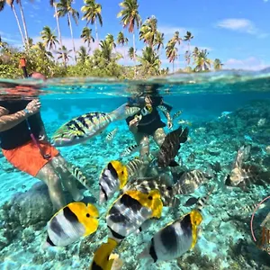  Hébergement de vacances Hutiarii House & Car & Excursions Raiatea